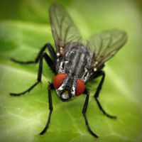 /album/dibujos-animados/photolia-a01-jpg/