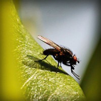 /album/dibujos-animados/photolia-a04-jpg/