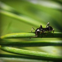 /album/dibujos-animados/photolia-a05-jpg/