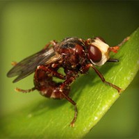 /album/dibujos-animados/photolia-a06-jpg/