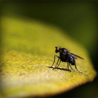 /album/dibujos-animados/photolia-a07-jpg/